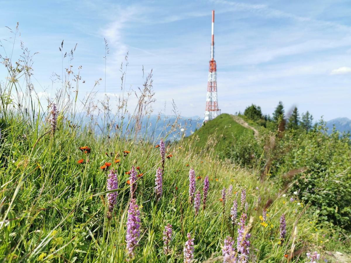 Apartment Am Eichwald Immenstadt im Allgaeu