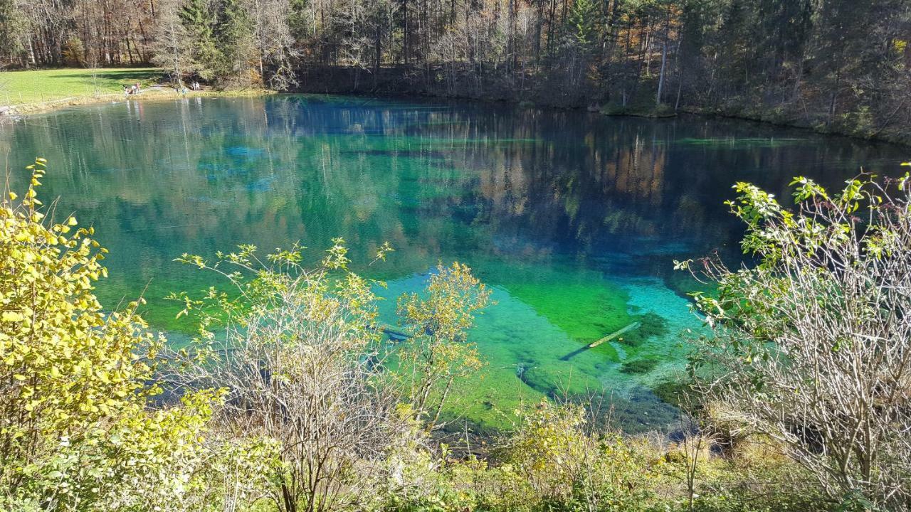 Am Eichwald *