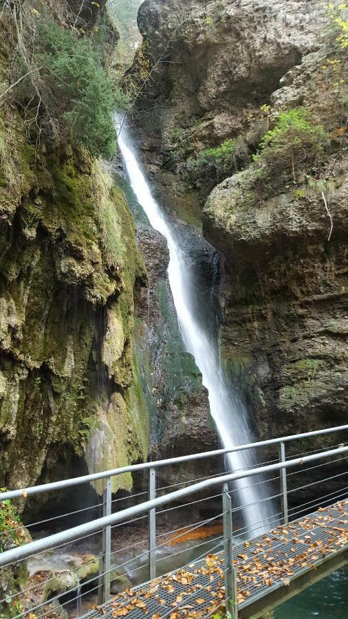 Am Eichwald